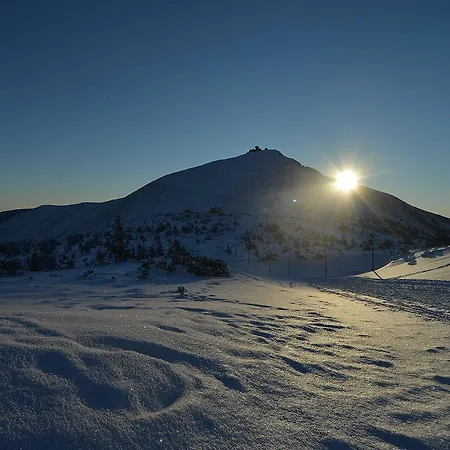 Апартаменты Orzechowy *