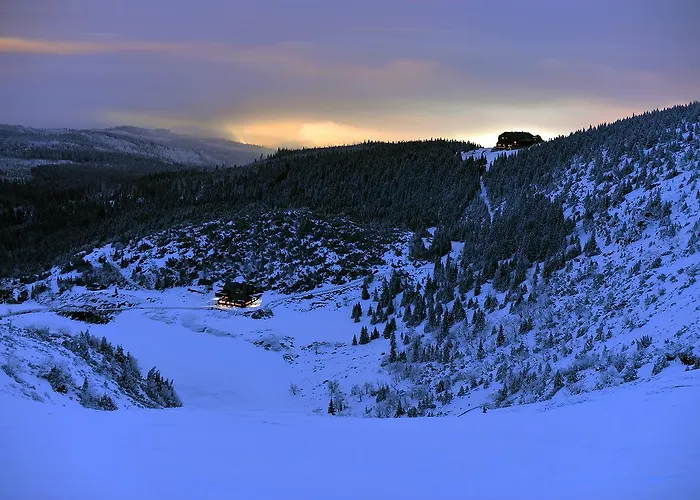 Orzechowy Апартаменты Карпач