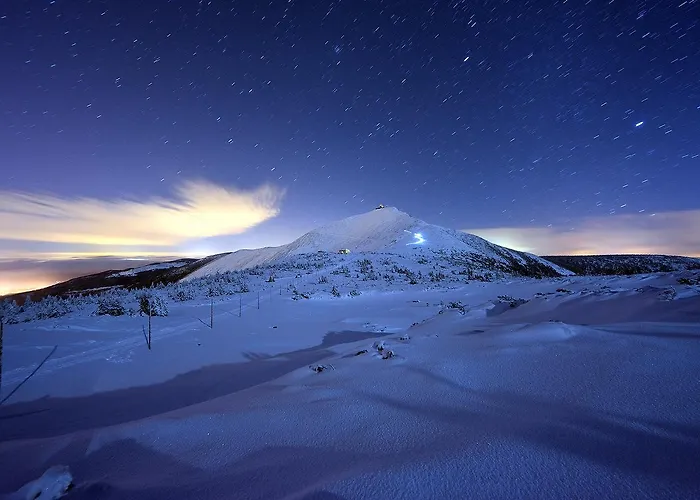 Orzechowy Апартаменты